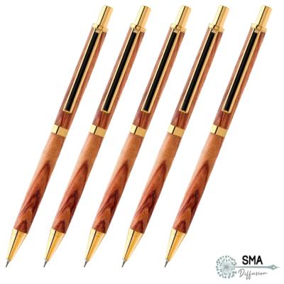 Lot 5 Elegance Porte Mine